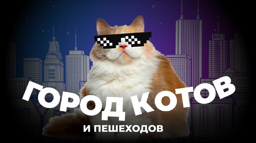 Мало машин и много котов. Как устроен город Зеленоградск