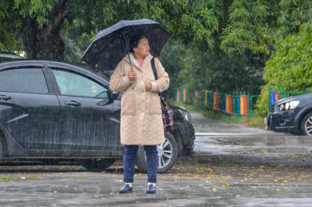    В Новосибирске ожидается похолодание до +14 градусов и дождь 14 августа