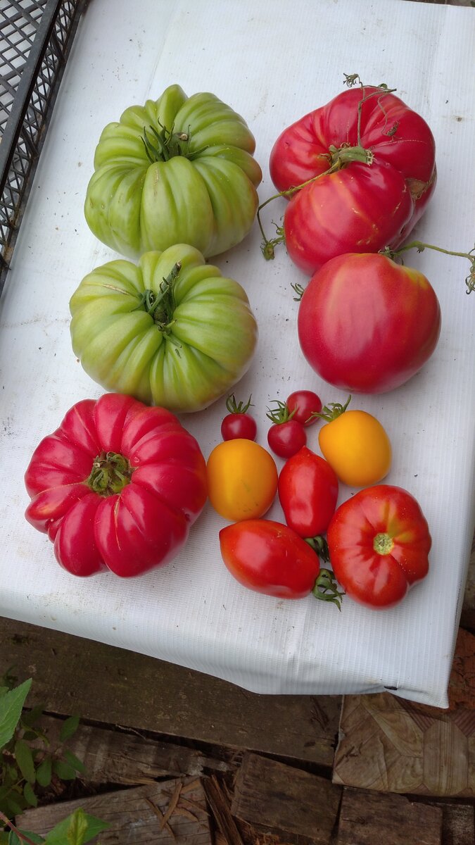 Личное  фото