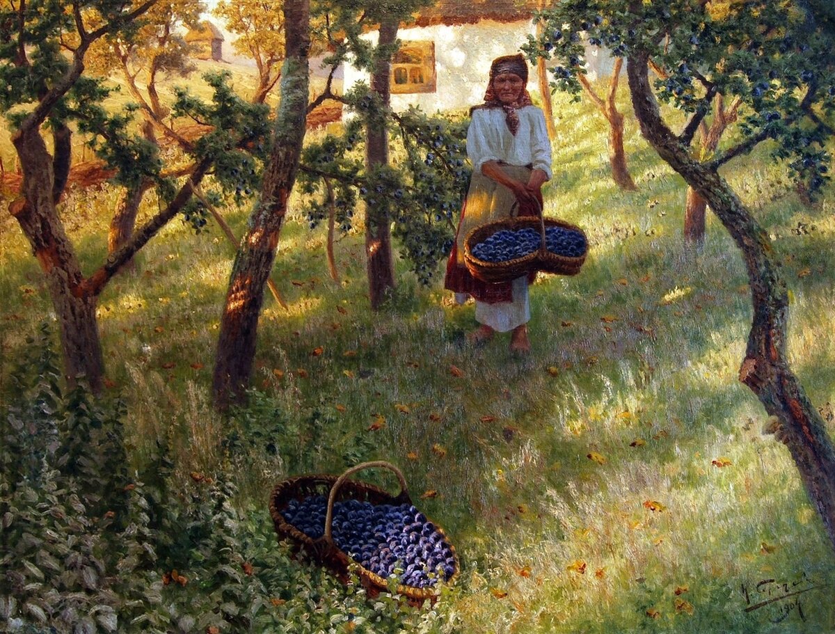 Н. Сергеев «Сбор слив в старом саду», 1904 г.