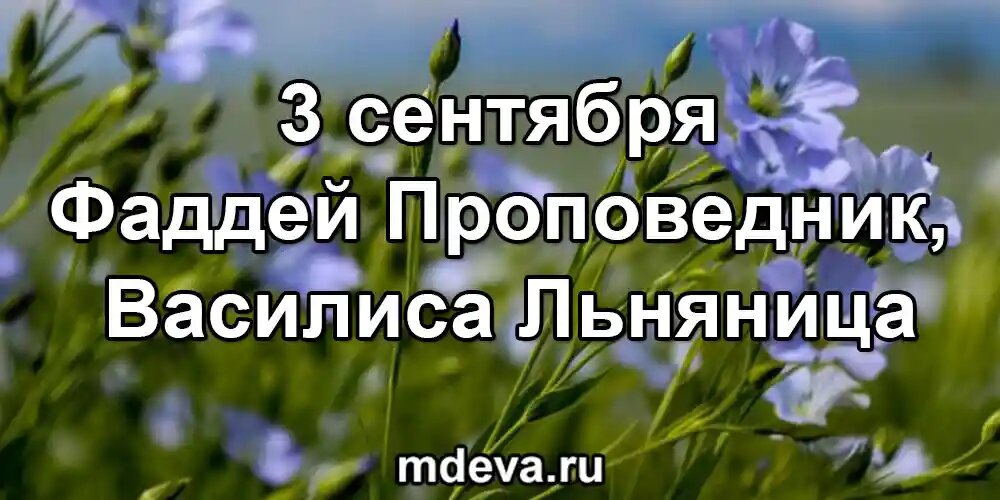 3 сентября Фаддей Проповедник, Василиса Льняница