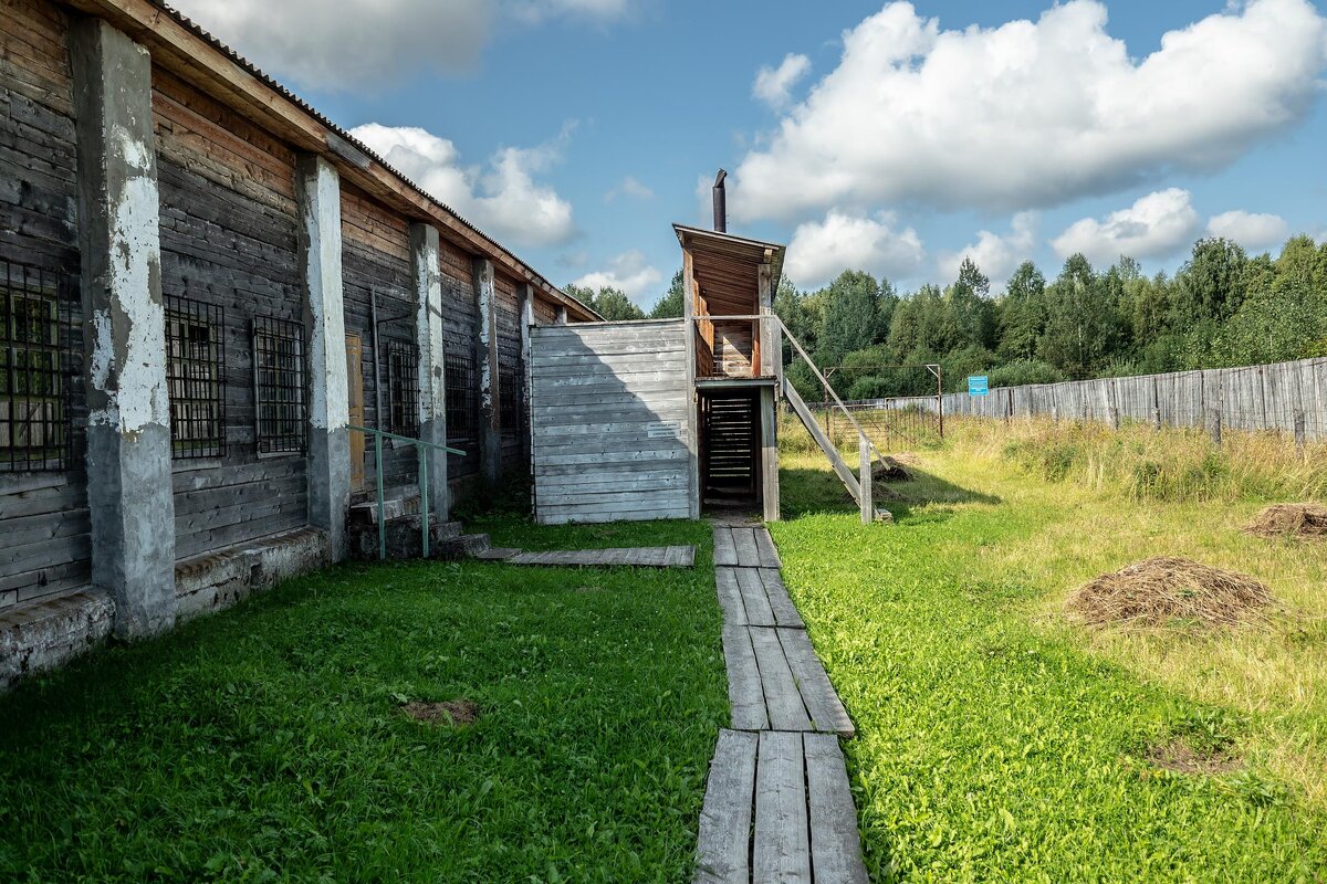 Зона особого режима. Пермь 36 лагерь. ИК 36 Пермский край. Лагерь ГУЛАГ В Перми. Пермский исправительный лагерь.