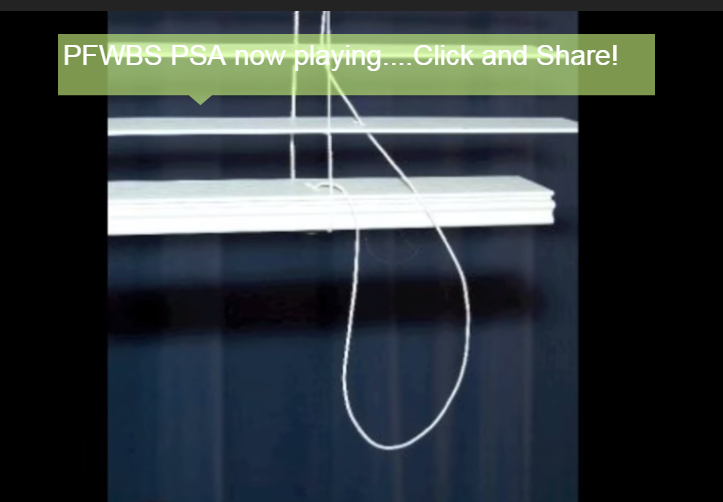 Скриншот видеоролика  США «Родители за безопасные оконные жалюзи»                                        Web-проект   https://youtu.be/t5tGFPNnZuM 