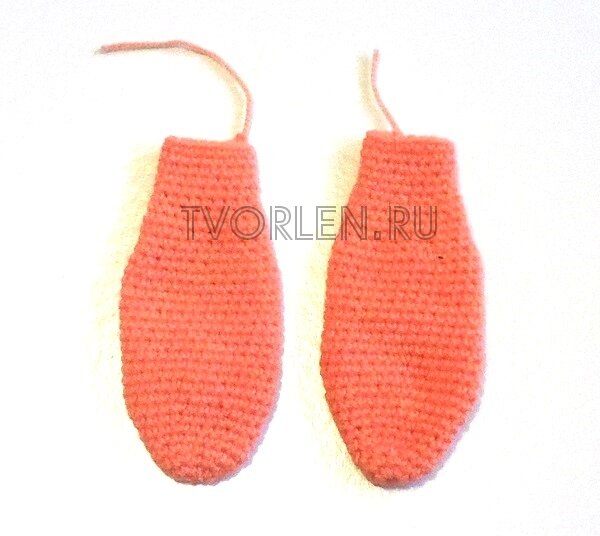 передние копыта поросёнка