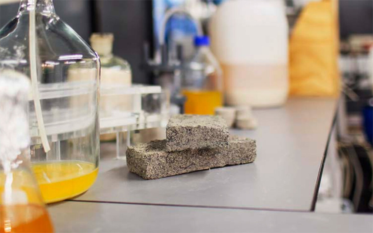  «Био кирпичи», изготовленная из мочи, в лаборатории.
Автор: Робин Уолкер
