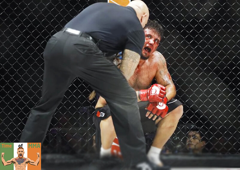 Ваша подписка - лучшая награда для автора