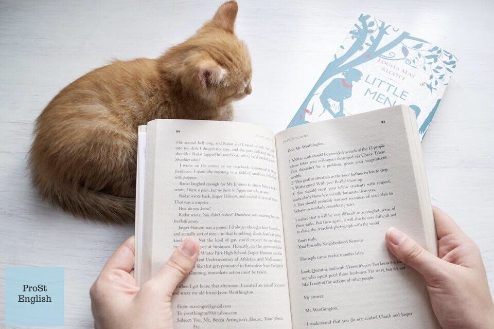 Это кошка моей младшей сестры. Мы зовём её Васей. Вася часто помогает мне с учёбой. Она действует на меня почти так же, как игрушки-антистресс. Только лучше. Вася часто будет появляться в моих публикациях. Пожалуйста, подарите ей много любви!