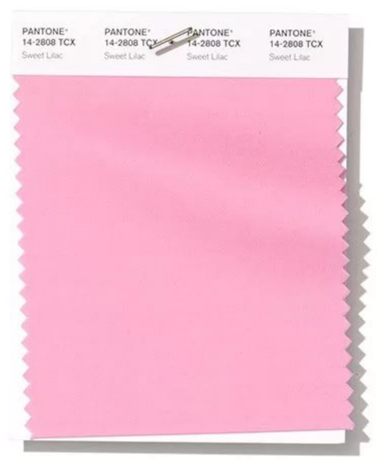 Tpg pantone. Пантон. Цвета пантон. Розовый цвет пантон. Цвет Pantone 2019.