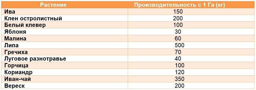 Медоносы средней полосы России, медопродуктивность растений