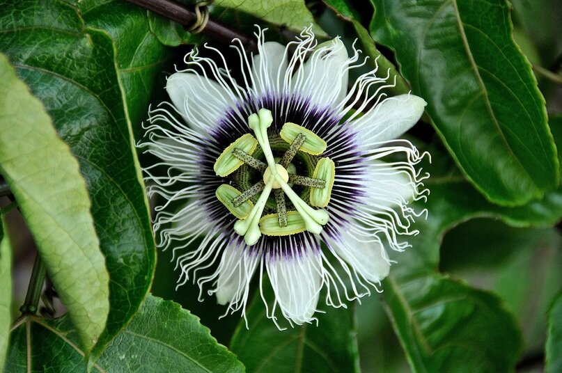 Фото javierredondo