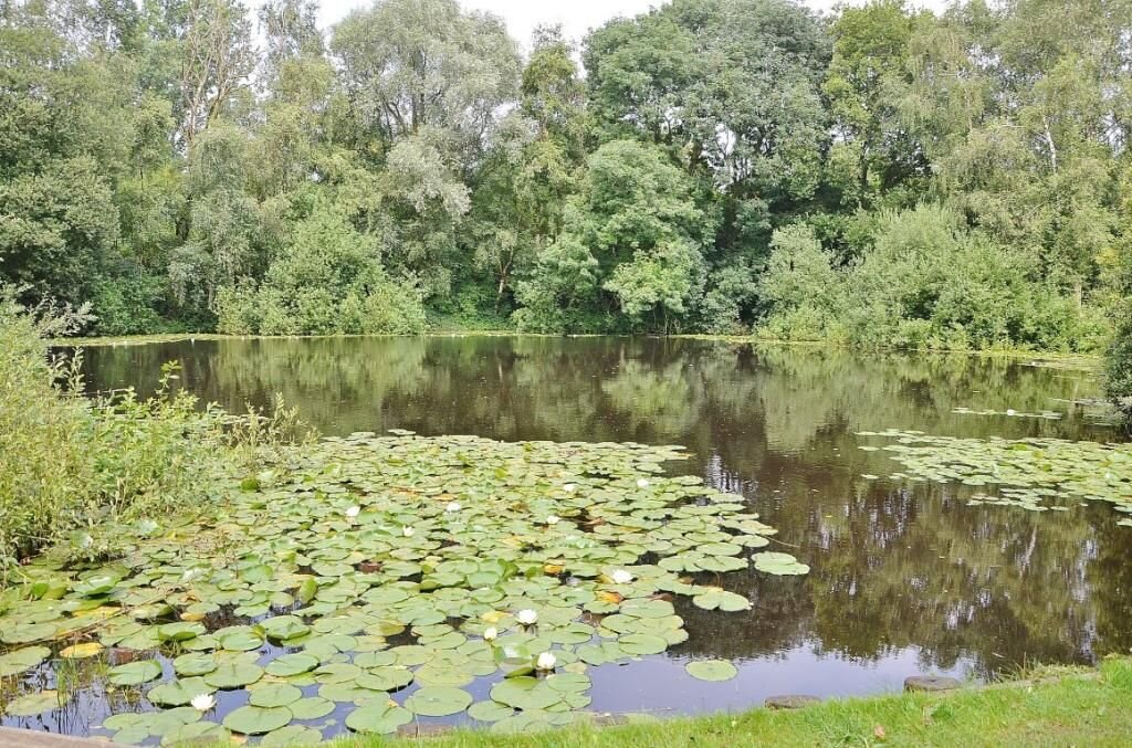 озеро мертвецов шд. озеро живых мертвецов 1981, ужасы. озеро мертвецов бравл старс. озеро живых мертвецов фильм 1981 18. озеро мертвецов шд.