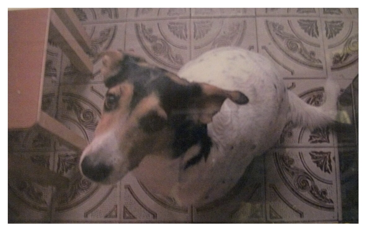     кто скушал три окорочка ?