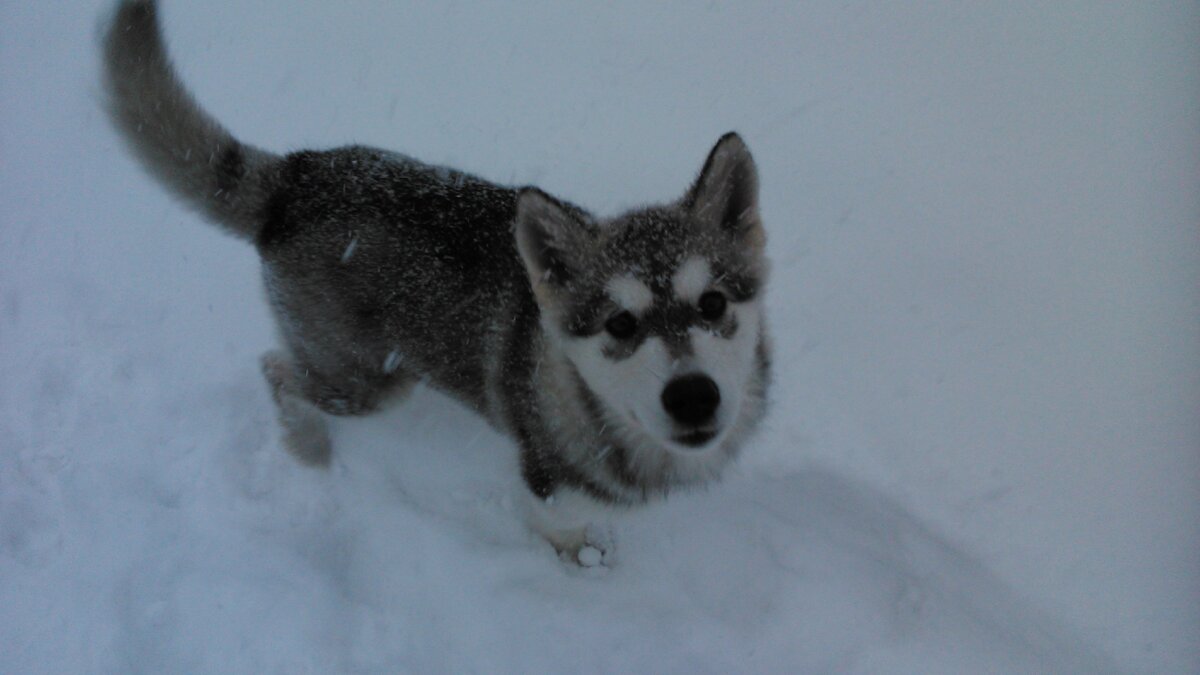Уборка снега