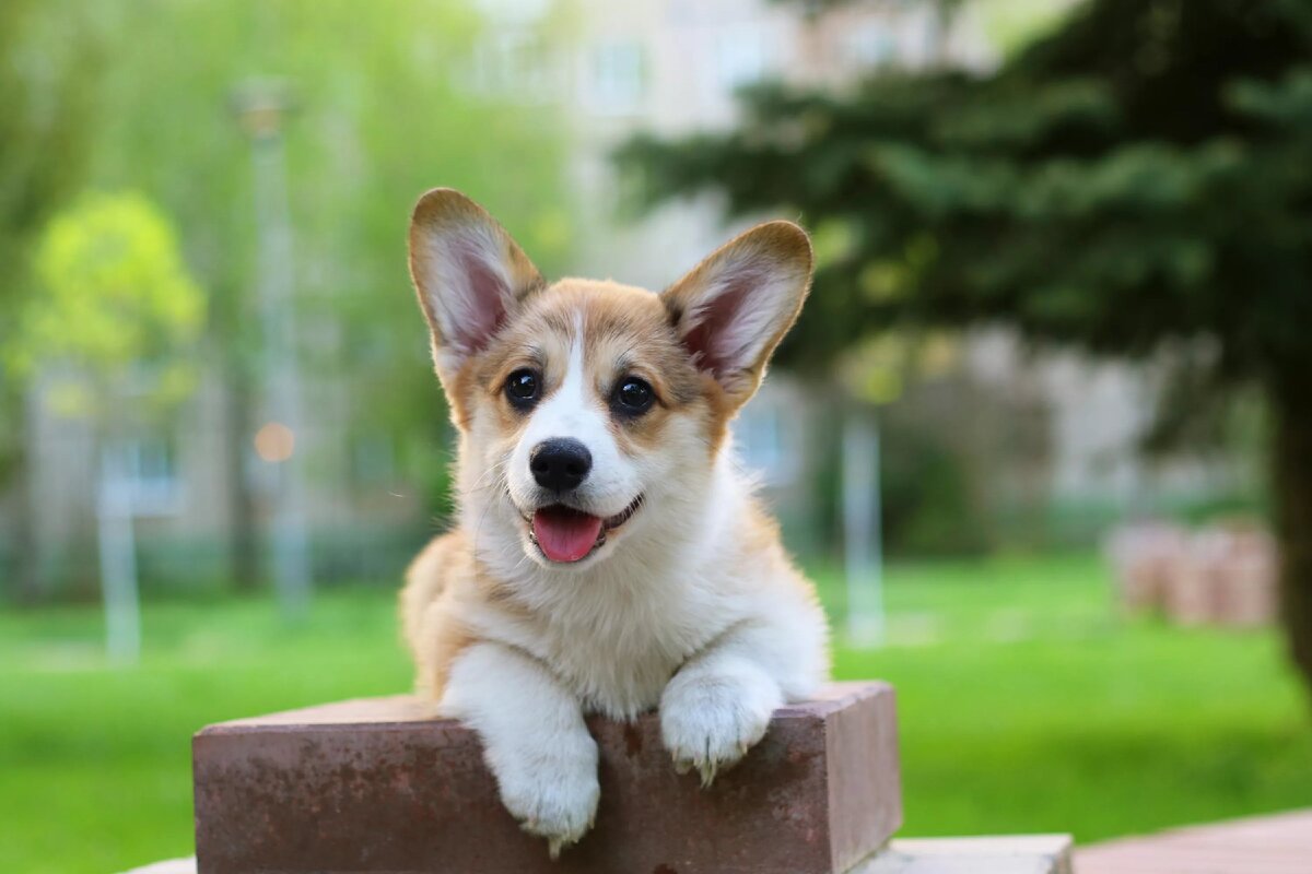 Мам, я достаточно мило выгляжу? А так? https://clck.ru/LLnDg