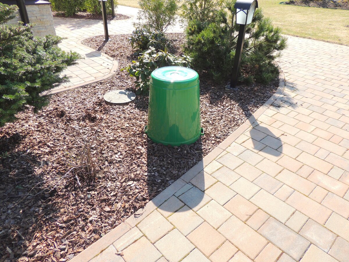 Ведро под которым крупная гадюка.