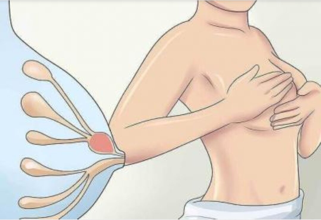 Фото из интернета 