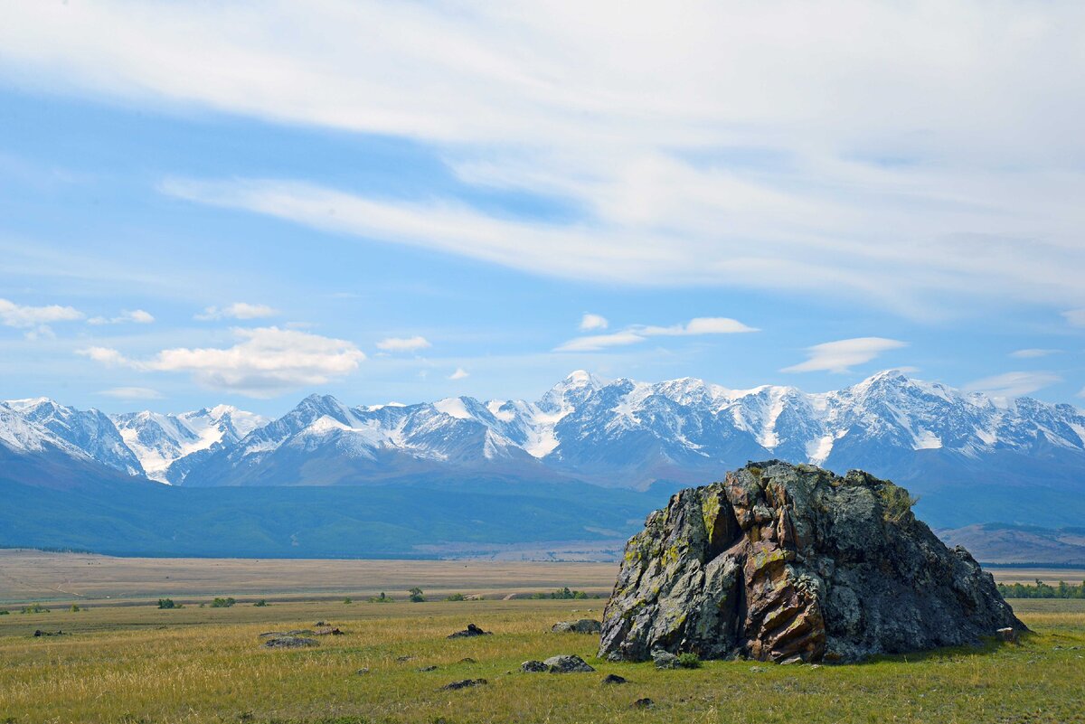 Кош Агач Курайская степь