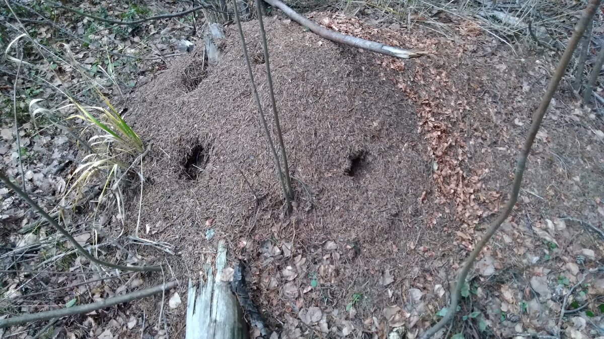 Кто набезобразничал?