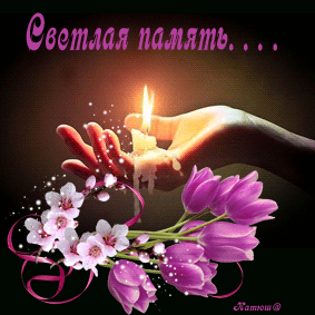 анимация из интернета