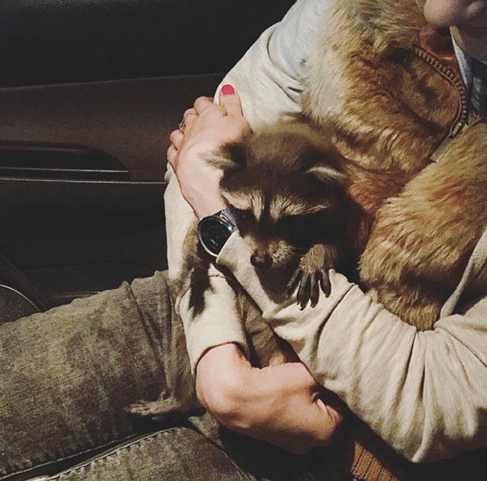 Наше первое совместное с Темой фото. 10 минут после знакомства