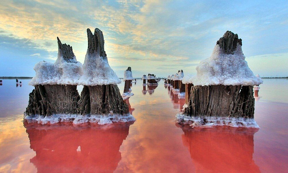 Соли озера Сасык-Сиваш.