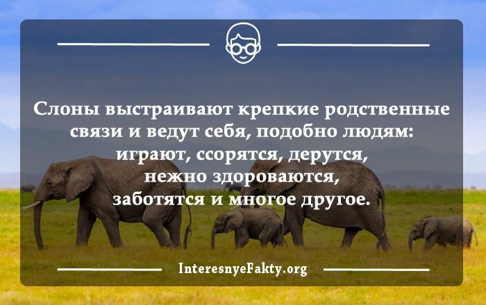 Интересный жизненный факт: чем чаще мужчина занимается любовью, тем ниже у него риск инфаркта. Считайте это инструкцией к действию! На женщин это, увы, не распространяется.