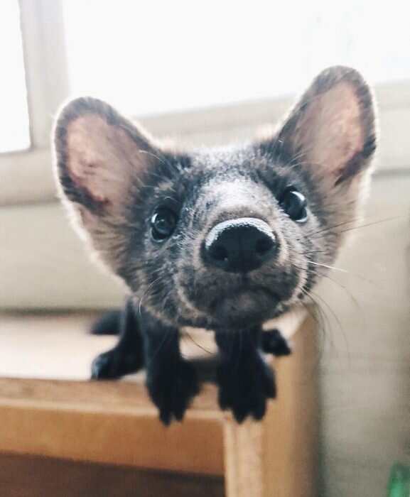 Источник: vk.com