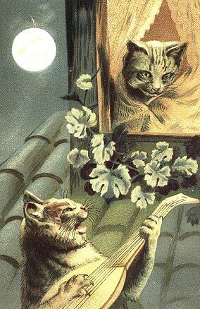 Он не даёт мне спать...