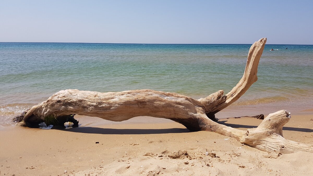 Бугазская коса. Фото автора.