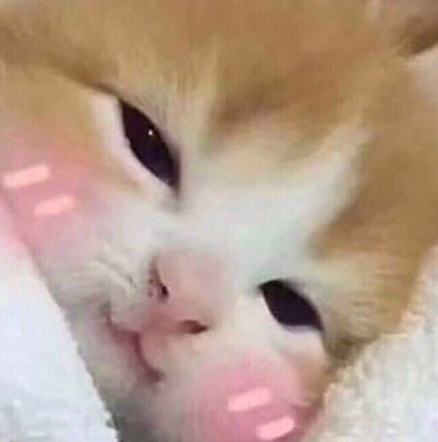 Ну приветик