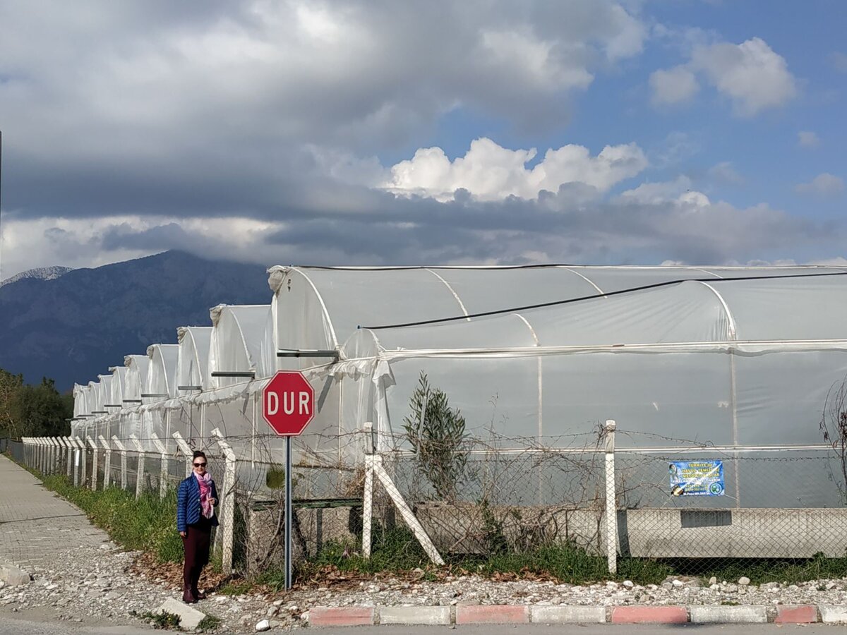 Теплицы Кемера