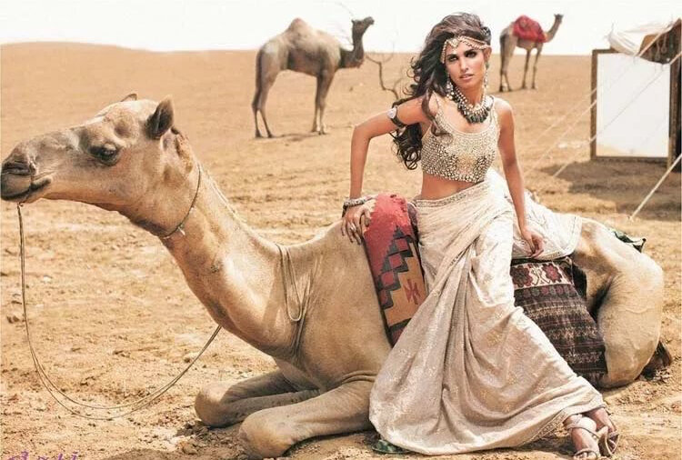 Яндекс картинки