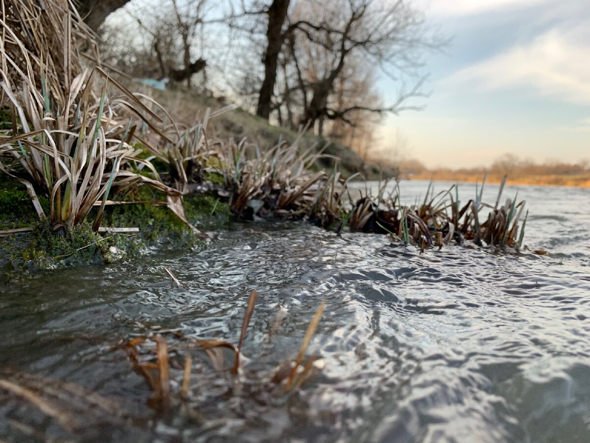 Это фото было сделано на речке, и показалось самым красивым