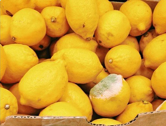 Изображение взято с https://www.flickr.com