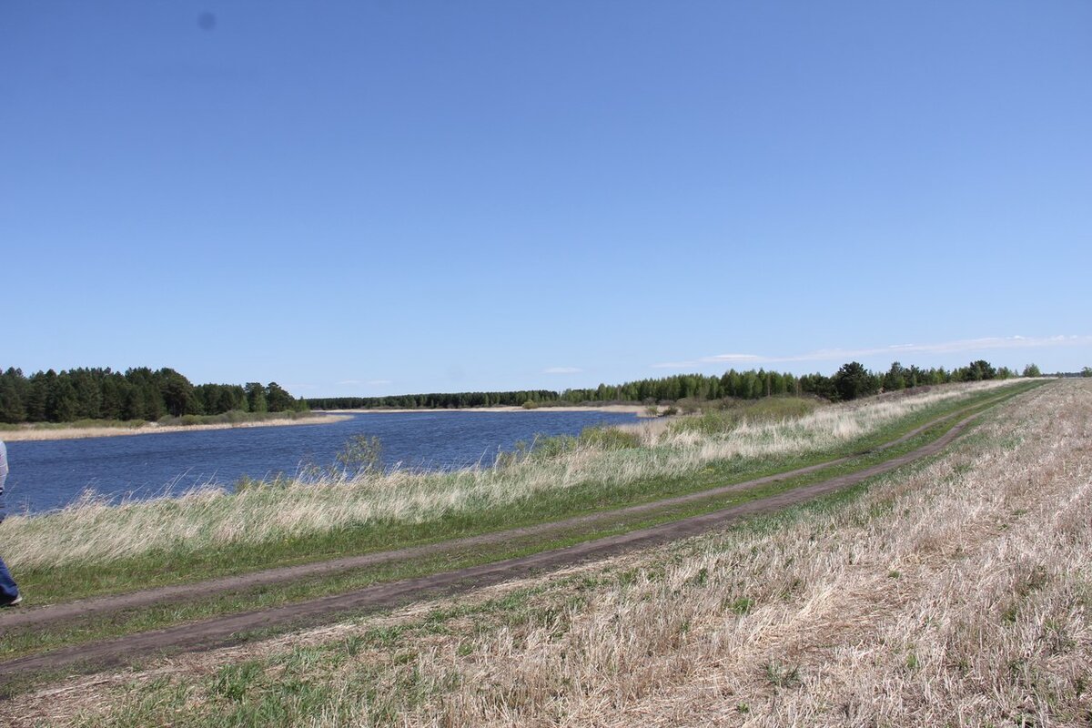 Западный берег озера не занят растительностью, но обрывистый, к воде не подойти