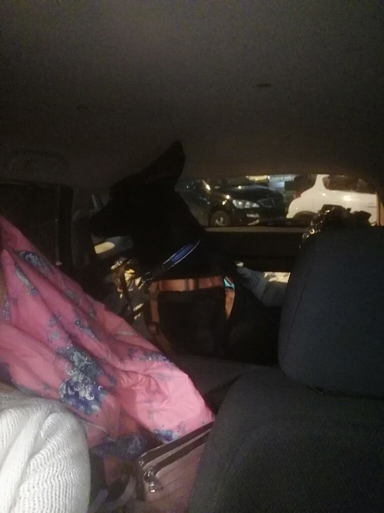 Ехали в ту сторону по классике жанра. Тихо и спокойно. 