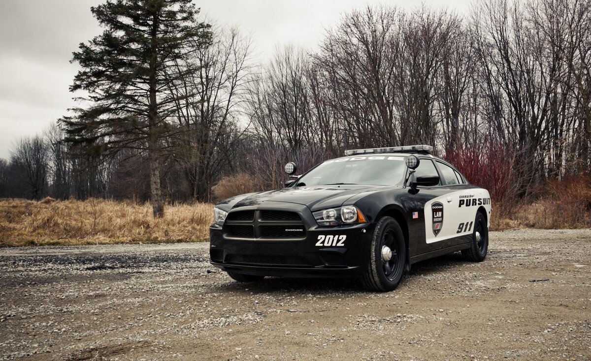 Dodge Charger Pursuit.