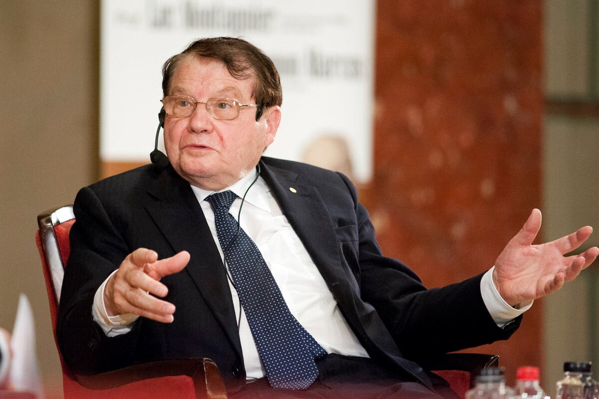 Люк Монтанье