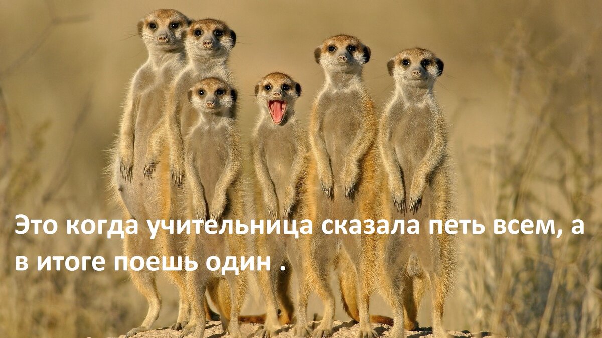И так всегда . 