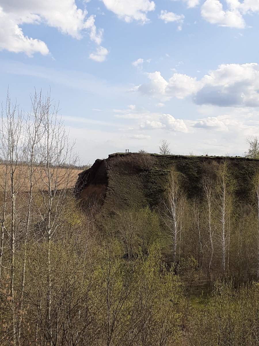 Вот такие красоты