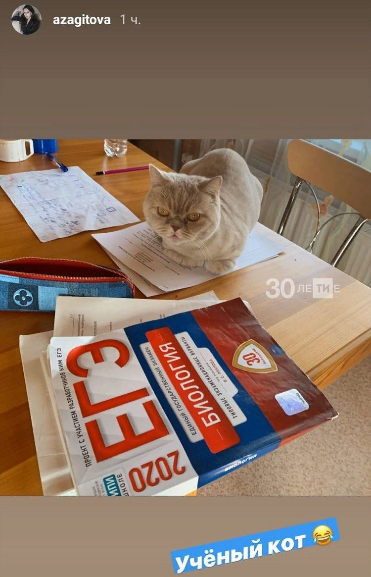 Лучшая подготовка к экзамену 