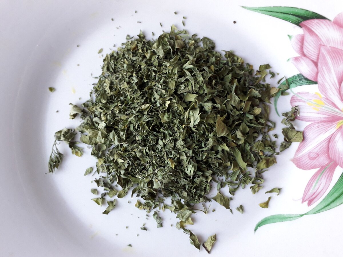 Фото из личного  архива.  ВЫСУШЕННЫЕ    ЛИСТЬЯ  КРАПИВЫ.