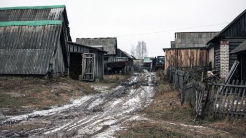 Где-то в Псковской области