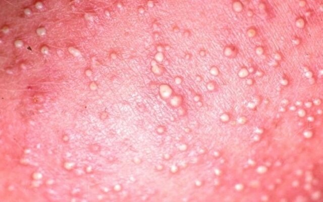 Взято из яндекс картинок. Статья из внешнего источника. 