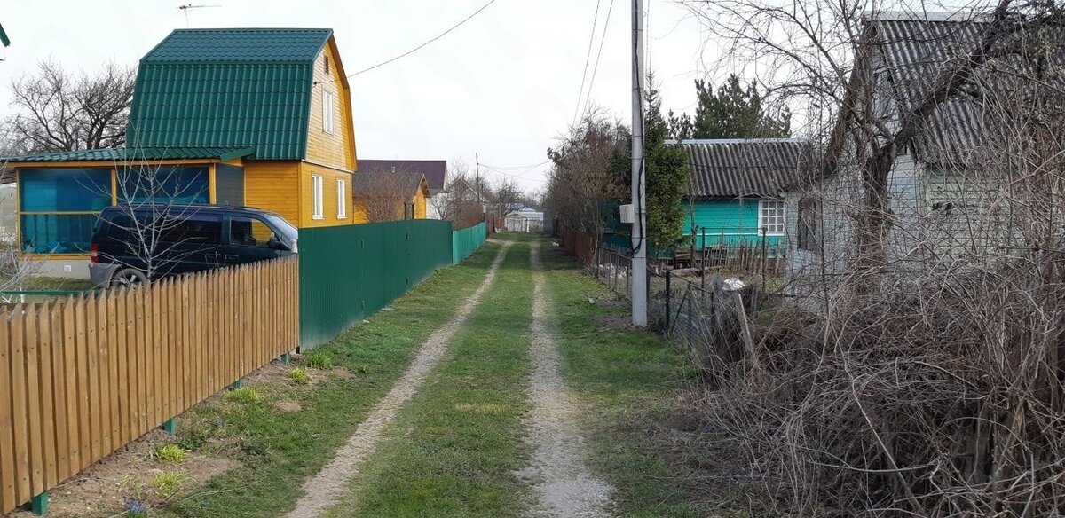 Яндекс Картинки