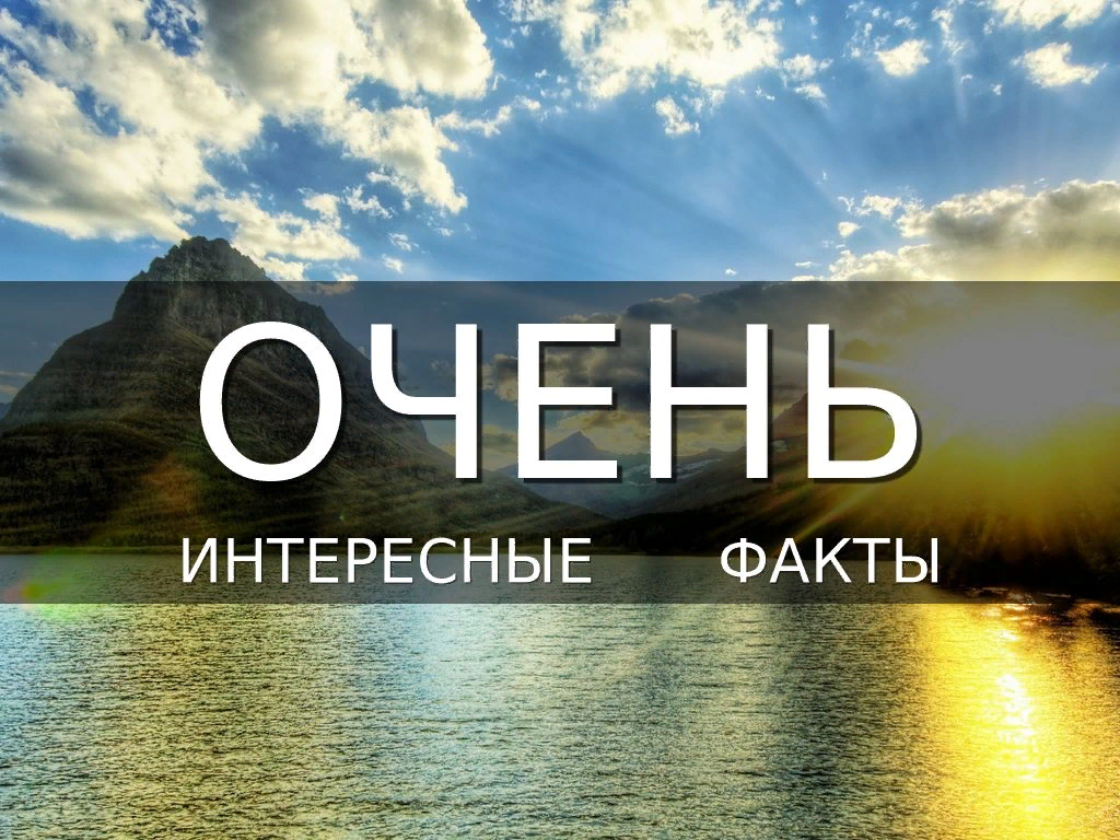 Наш мир действительно странное и удивительное место. В книге для детей от National Geographic «5000 удивительных фактов (обо всем!) 2» приводится немало удивительных фактов, о которых многие из вас наверняка не знали. Если вам нужен отличный повод для разговора, вот 55 наших любимых интересных фактов обо всем из книги