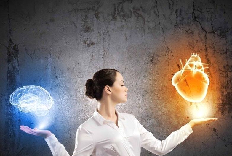 Взято из открытых источников