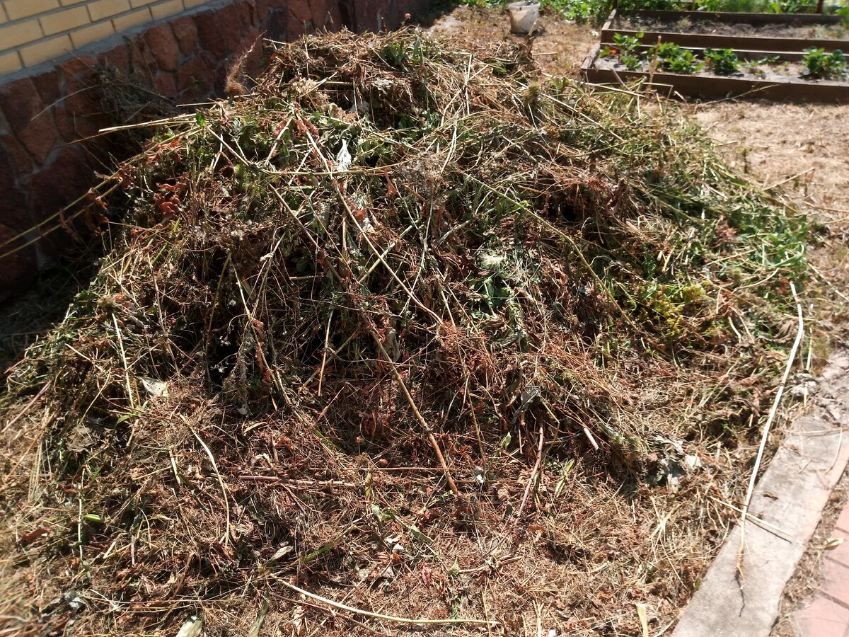 "Урожай" на участке сына. Один камаз уже вывезли.