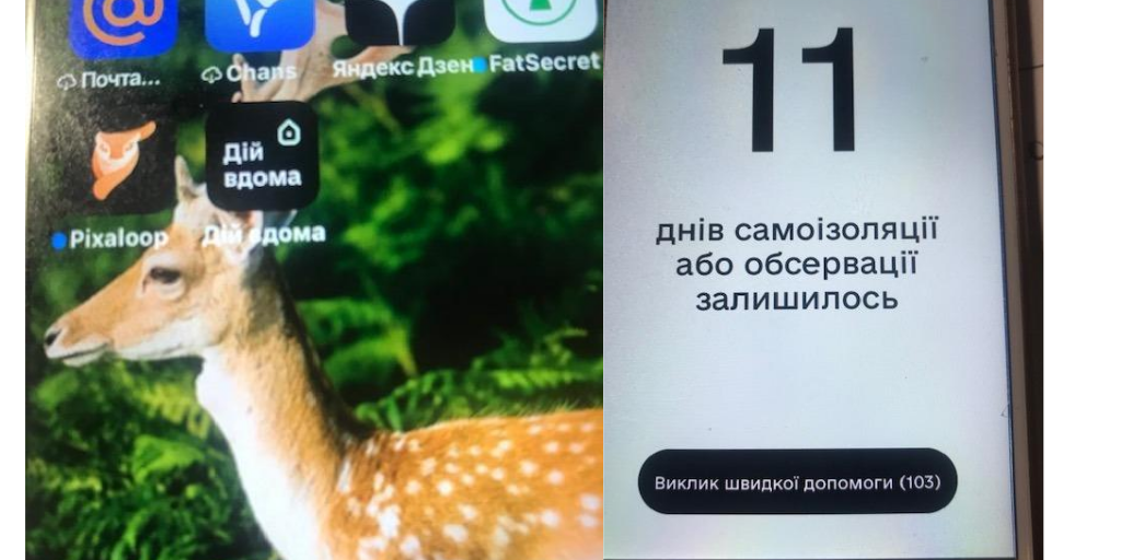 Самоизоляция в Украине