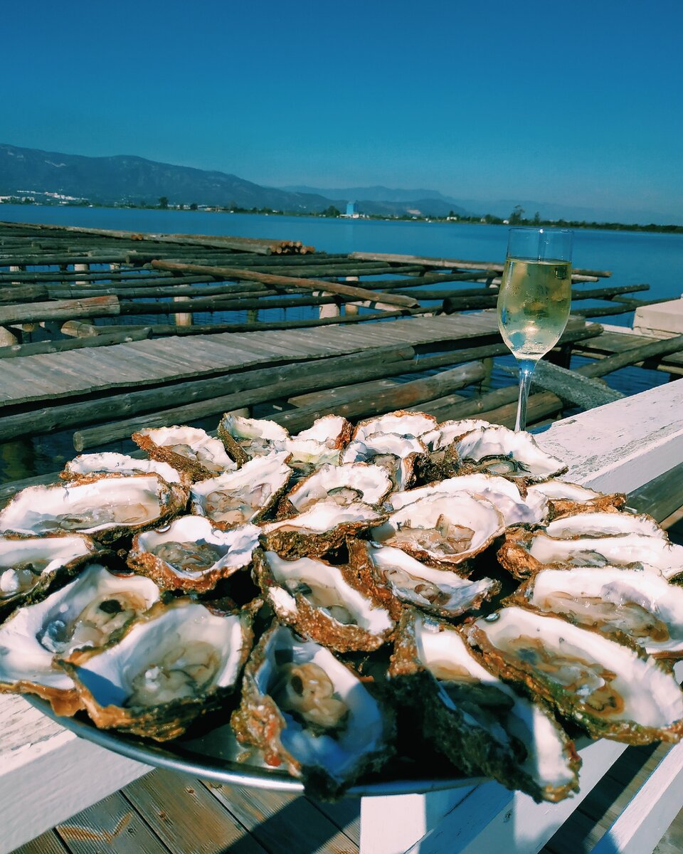 Устричная перспектива